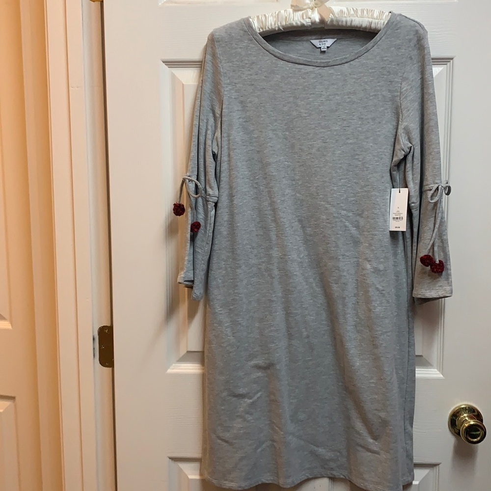 Crown & Ivy dress (NWT)